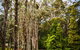 Ghost Hill Road Retreat - thumb 14