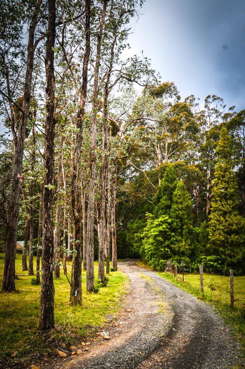 Ghost Hill Road Retreat - Accommodation Cooktown 14