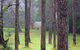 Ghost Hill Road Retreat - thumb 24