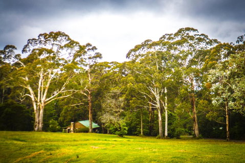 Ghost Hill Road Retreat - Accommodation Cooktown 8