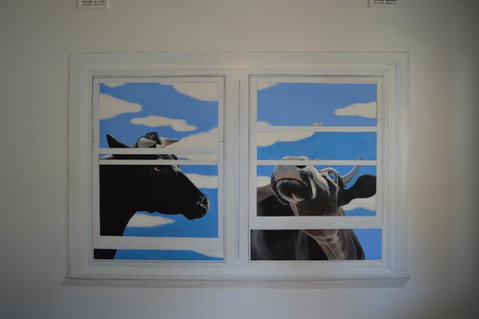 Two Cow Cottage Bed & Breakfast - Accommodation Cooktown 24