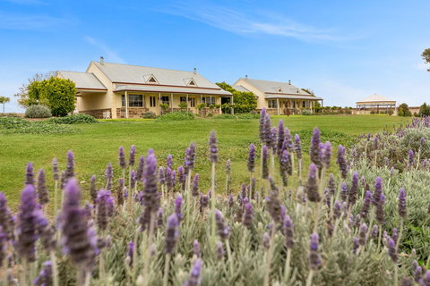 Barossa Vineyard Cottages - Accommodation Cooktown 10