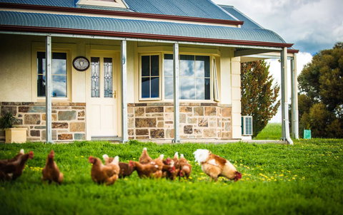 Barossa Vineyard Cottages - Accommodation Cooktown 40