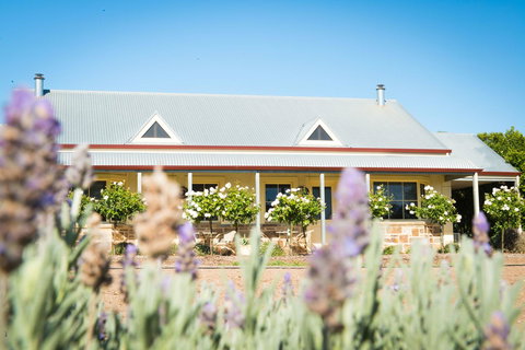 Barossa Vineyard Cottages - Accommodation Cooktown 3