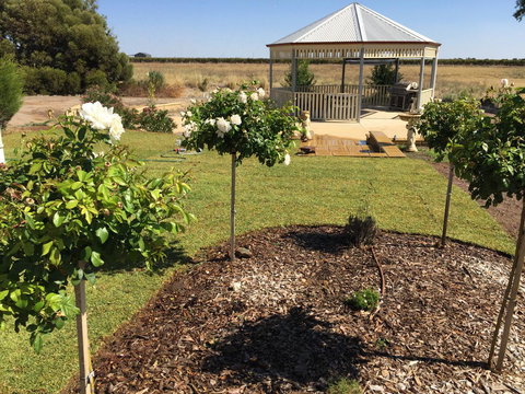 Barossa Vineyard Cottages - Accommodation Cooktown 43