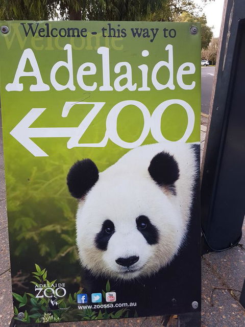 Adelaide Style Accommodation-Close To City-North Adelaide-3 Bdrm- FREE Parking - Accommodation Cooktown 35