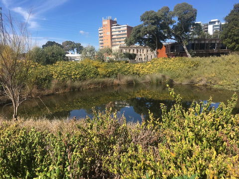 Adelaide Style Accommodation-Close To City-North Adelaide-3 Bdrm- FREE Parking - Accommodation Cooktown 40