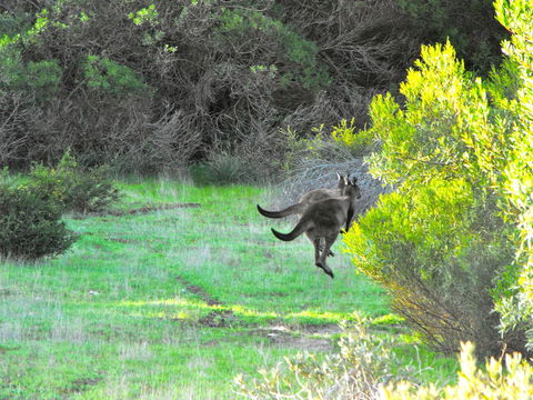 A Dune Escape - Accommodation Cooktown 25