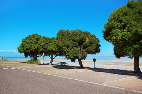 Discovery Parks - Whyalla Foreshore - Accommodation Cooktown 22