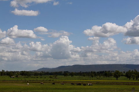 Isis Motel Scone - Accommodation Cooktown 5