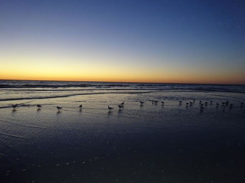 Selene Holiday Apartment @West Beach - Accommodation Cooktown 6