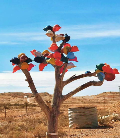 Aussie Opal Diggers Outback Retreat-Undergound - Accommodation Cooktown 29