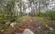 Smiths Lake House - thumb 30