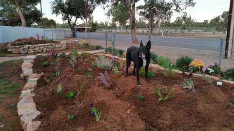 The Quorn-er House - Accommodation Cooktown 6