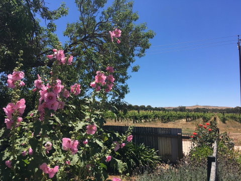 Amy\'s House Bed & Breakfast - Accommodation Cooktown 29