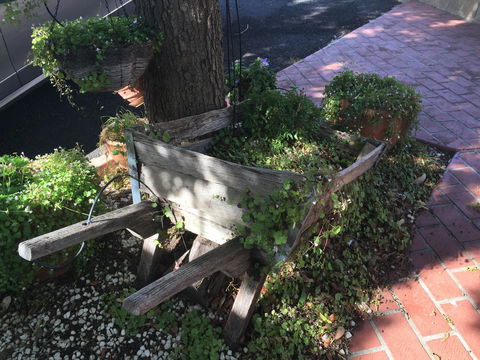 Ten Dollar Town Motel - Accommodation Cooktown 25