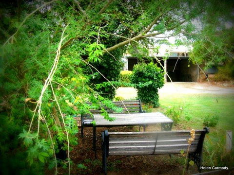 The Pig And Whistle - Accommodation Cooktown 16
