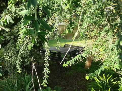 The Pig And Whistle - Accommodation Cooktown 43