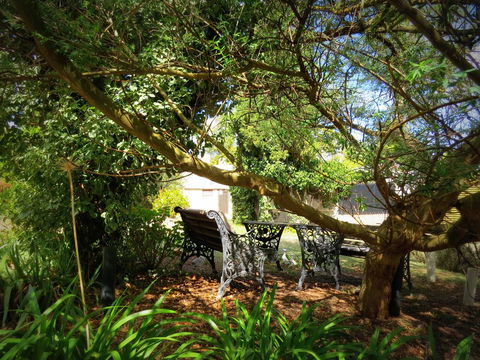 The Pig And Whistle - Accommodation Cooktown 4