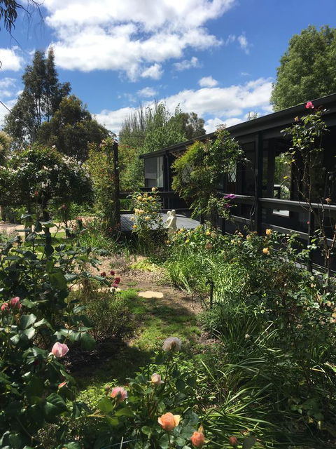 Hilltop Too - Accommodation Cooktown 4