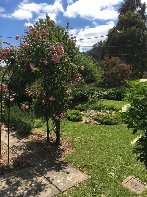 Hilltop Too - Accommodation Cooktown 13