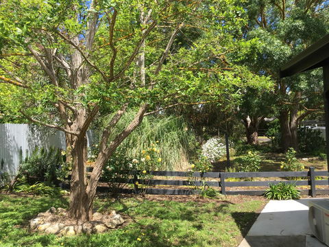 Hilltop Too - Accommodation Cooktown 7