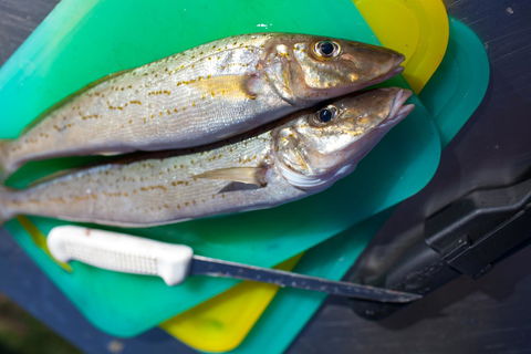 Modra\'s Apartments - Accommodation Cooktown 17