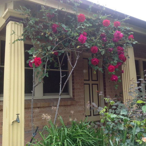 Oats Cottage - Accommodation Cooktown 3