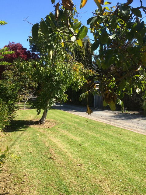 Vineyard Cottage BnB - Accommodation Cooktown 17