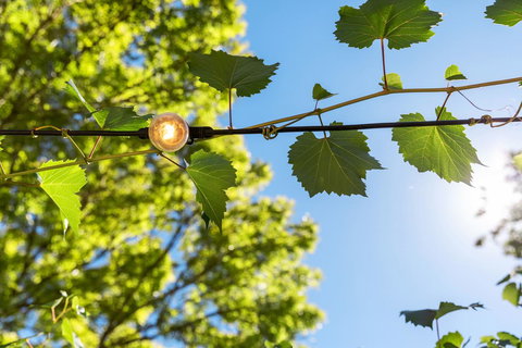 Adelaide Hills Retreats - Accommodation Cooktown 32