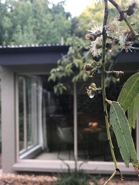 Adelaide Hills Retreats - Accommodation Cooktown 9