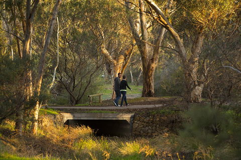 BIG 4 Barossa Tourist Park - Accommodation Cooktown 26