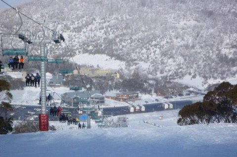 Snowy Gums Chalet - Accommodation Cooktown 7