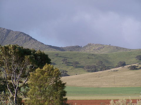 Burra Motor Inn - Accommodation Cooktown 32