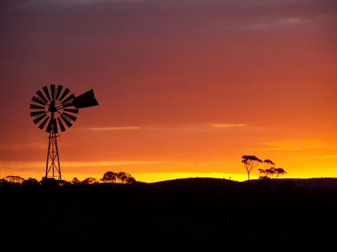 Burra Motor Inn - Accommodation Cooktown 38