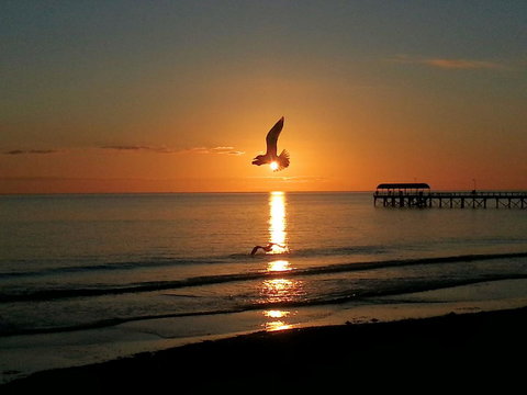 Adelaide Luxury Beach House - Accommodation Cooktown 37