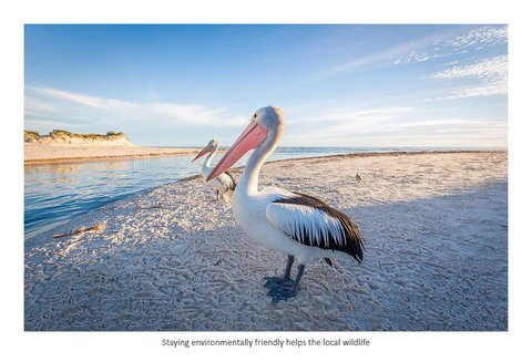 Adelaide Luxury Beach House - Accommodation Cooktown 25