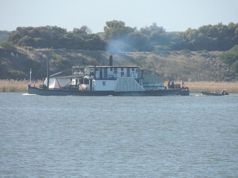 PS Federal Retreat Paddle Steamer Goolwa - Accommodation Cooktown 10