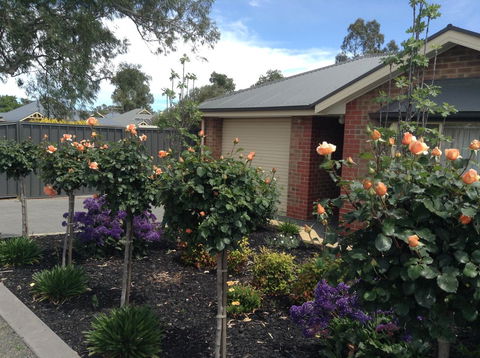 C And C Tanunda - Accommodation Cooktown 1