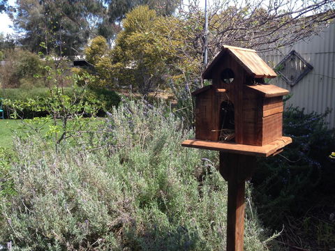 Jack\'s House B&B Clare - Accommodation Cooktown 6