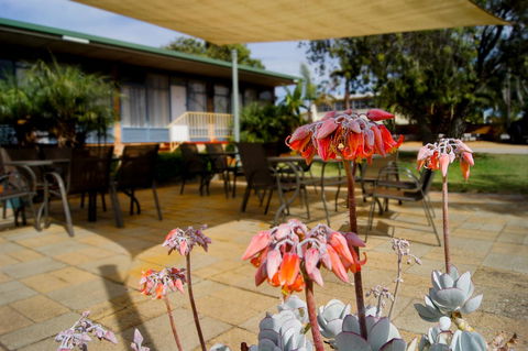 Kangaroo Island Seaview Motel - Accommodation Cooktown 3