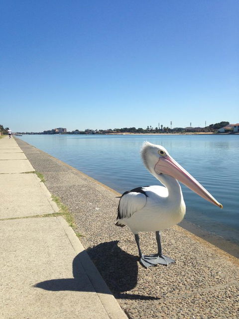 Lakeside - Accommodation Cooktown 12