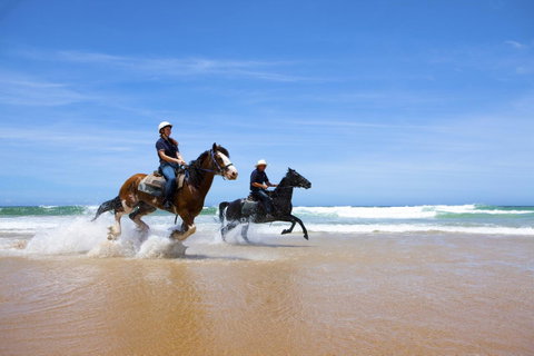 One Mile Retreat - Accommodation Cooktown 26