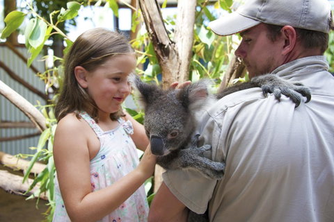 One Mile Retreat - Accommodation Cooktown 16