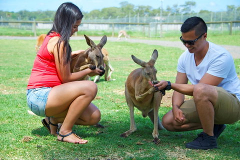 One Mile Retreat - Accommodation Cooktown 25