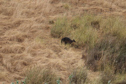 Middle River Beach House - East & West House - Accommodation Cooktown 23