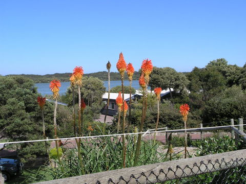 Lakeside Tourist Park - Accommodation Cooktown 3