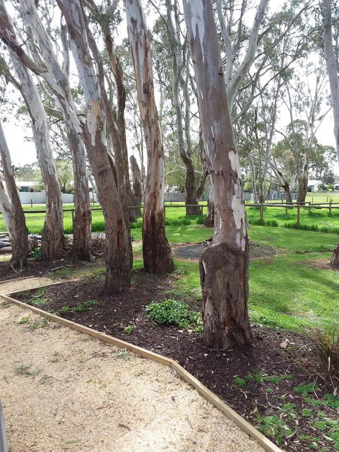 Cloisters Of Kalangadoo - Accommodation Cooktown 6