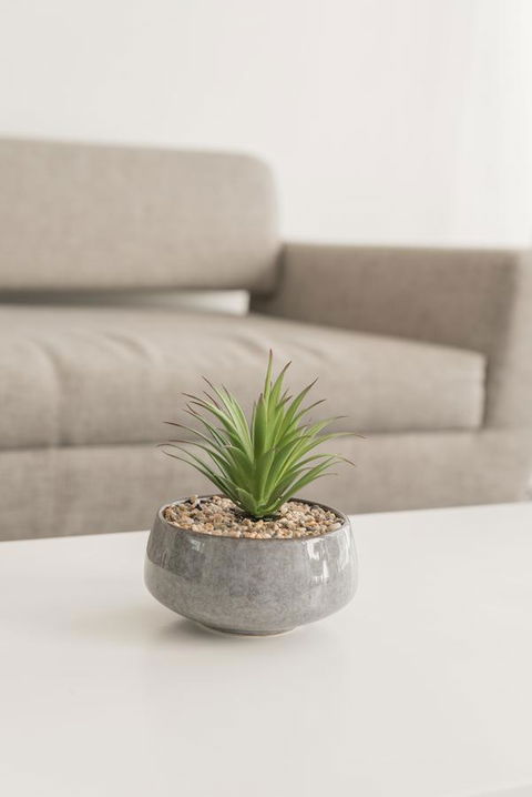 Ther-Rich Elegant 1BR Apartment In Walkerville - Accommodation Cooktown 17