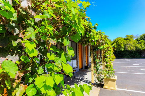 Country Roads Motor Inn Naracoorte - Accommodation Cooktown 18